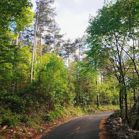 Apartman Forest Heritage Hreljin