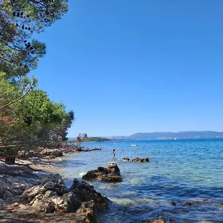 شقة Forest Heritage *