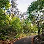 Apartman Forest Heritage Hreljin