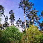 Forest Heritage
