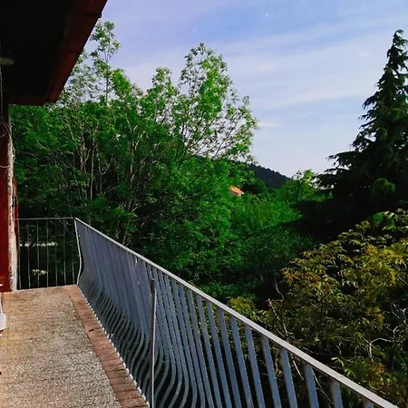 Forest Heritage Appartement