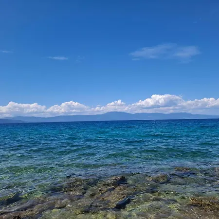 Forest Heritage * Hreljin