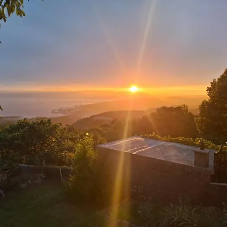 Appartement Forest Heritage