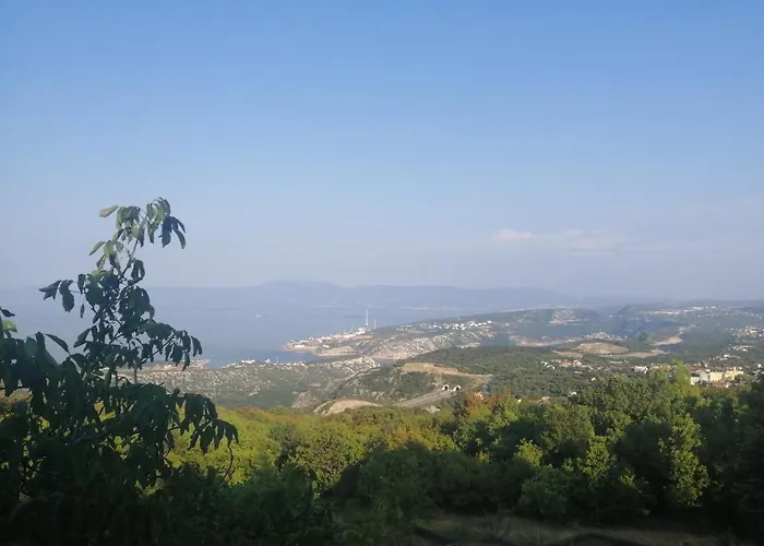 Forest Heritage Apartman *