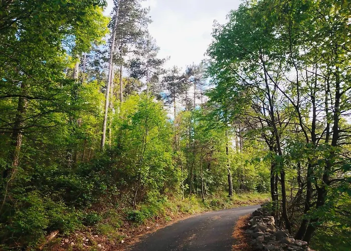 Apartman Forest Heritage Hreljin