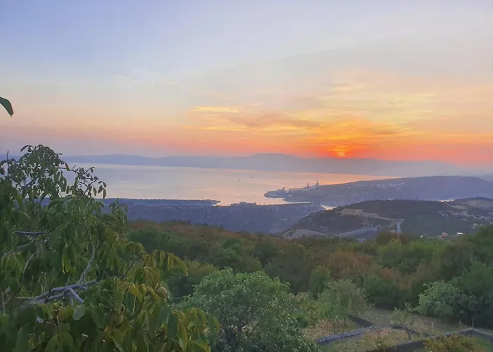 Apartman Forest Heritage