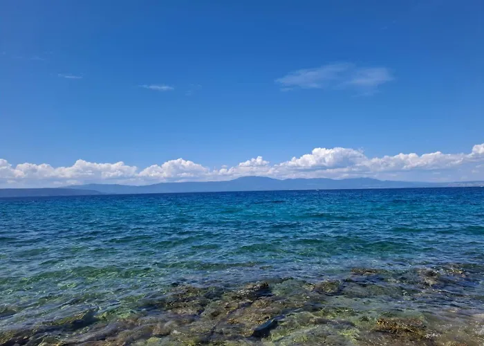 Forest Heritage * Hreljin