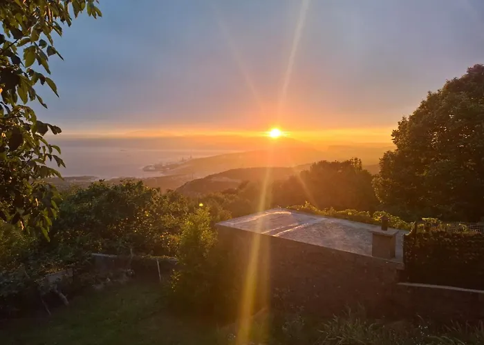 Apartman Forest Heritage