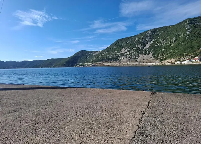 Forest Heritage Apartman *