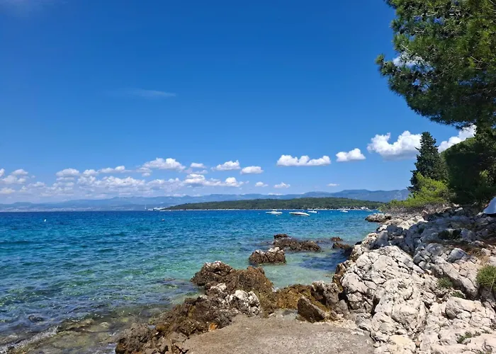 Apartman Forest Heritage