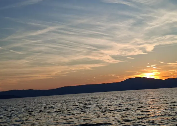 Apartman Forest Heritage